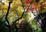 IL GIARDINO D'AUTUNNO