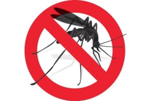 Un caso di West Nile: il virus ha colpito un anziano di 93 anni a Pescara che "è in buone condizioni generali"