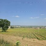 Agrivoltaico a Colle Petrano, il Comune di Casalincontrada ribadisce il no e convoca la cittadinanza